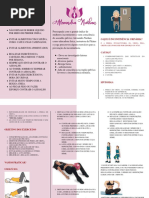 Cartilha de Treino pélvico.alexandra Nurhan.