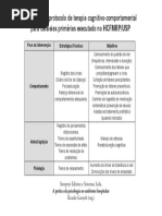 Esquema do protocolo de terapia cognitivo-comportamental para cefaleias primárias executado no HCFMRP/USP