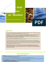 Resurse Economia Romaniei - PPSX