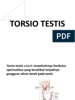 Torsio Testis