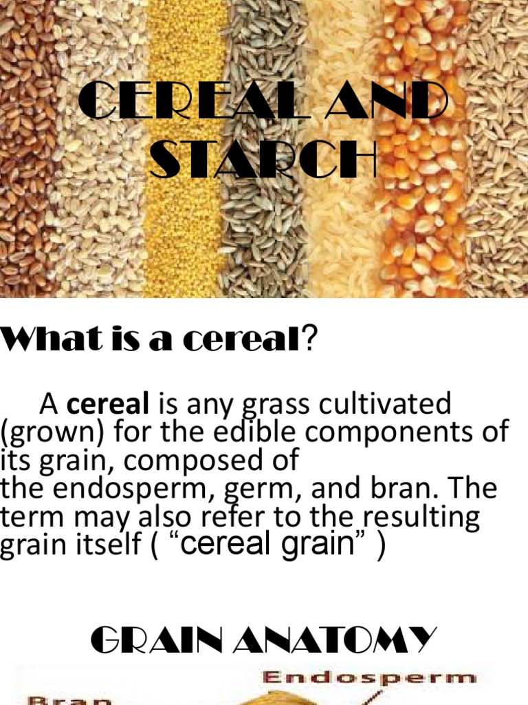 CEREALSANDSTARCH.pptx Cereals Flour