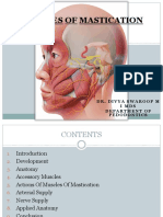 Muscles of Mastication 