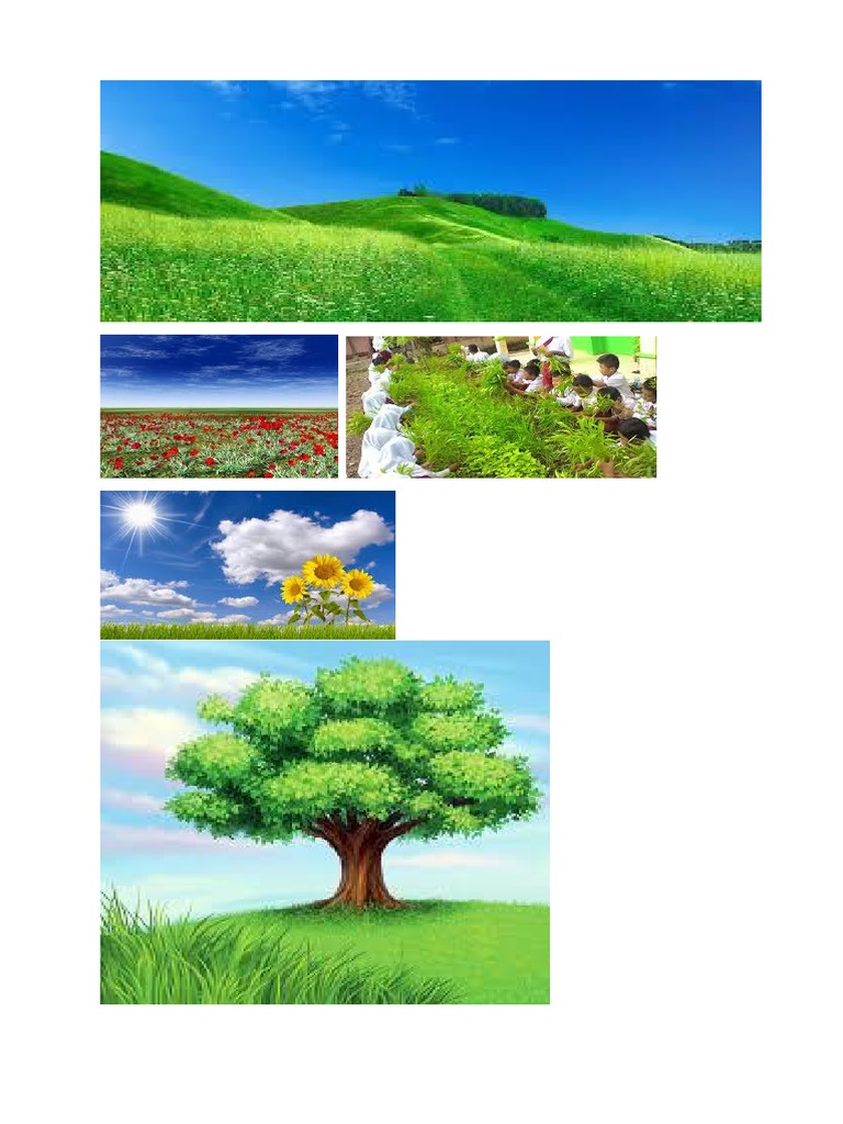 Kumpulan Gambar Montase