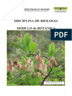 Guia das Plantas.pdf