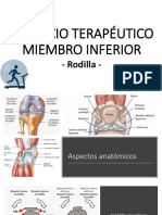 Ejercicio Terapeutico Rodilla