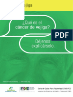 ES-Cancer-de-Vejiga-Guia-para-Pacientes.pdf