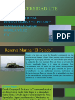 Reserva Marina El Pelado