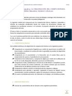 Curpo Humano y Su Organizacion PDF