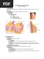 sistema_tegumentar