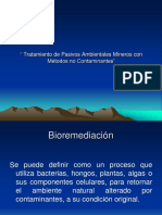 Tratamiento de Pasivos Ambientales Mineros 