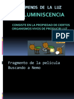 Fenómenos de La Luz