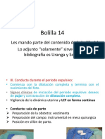 Bolilla 14