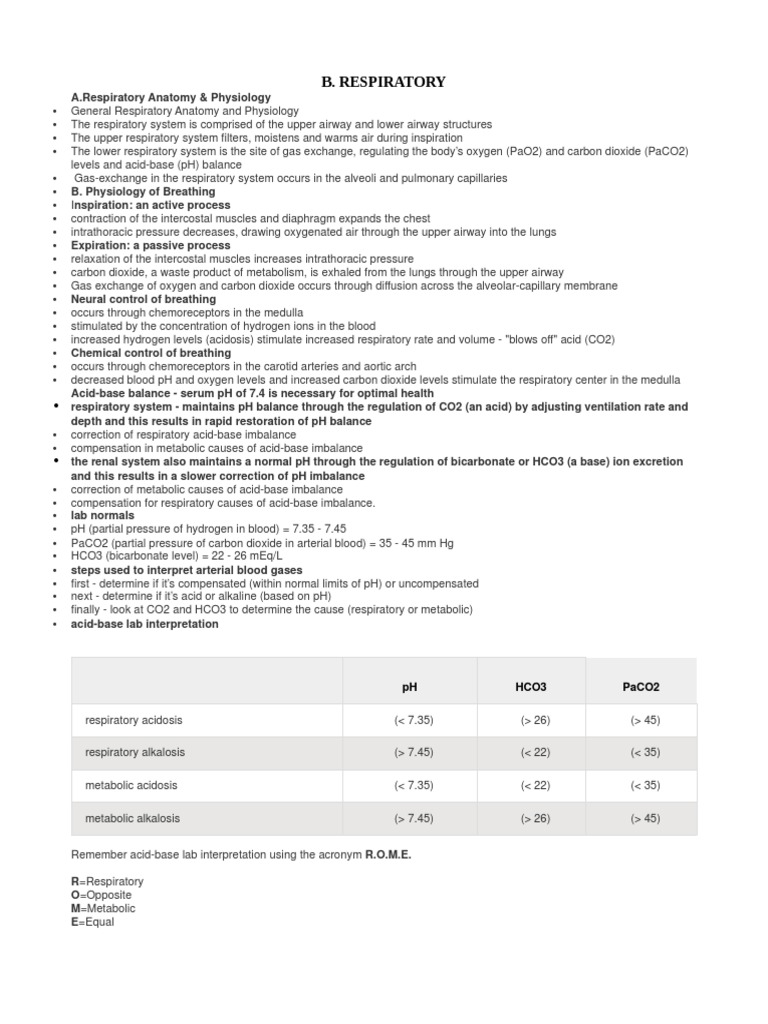 B. Respi | PDF | Chronic Obstructive Pulmonary Disease | Respiratory Tract