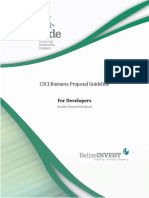 CSCI Business Proposal Guideline For Developers