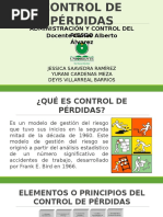 Control de Pérdidas