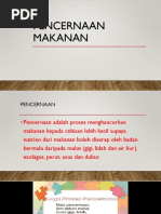 Pencernaan Makanan