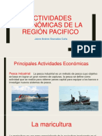 Actividades Económicas de La Región Pacifico - Jaime Andres Granados Caña 7a