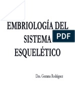 Embriología e Histología Tema 4
