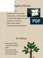 Kingdom Plantae: Characteristics and Evolution