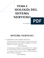 Embriología e Histología Tema 5