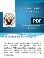 Gizi Pada Ibu Menyusui