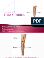 Tibia y fíbula: accidentes anatómicos y ligamentos principales en