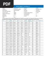 Repayment Report