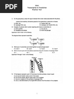 DNA Transcription Practice Test PDF