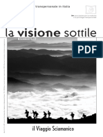 La Visione Sottile 15 Viaggio Sciamanico