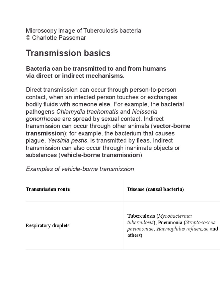 Transmission Basics | PDF | Transmission (Medicine) | Pathogen