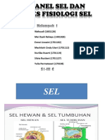 Organel Sel Dan Proses Fisiologi Sel