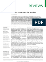 The Neuronal Code For Number