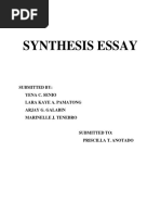 Synthesis Essay