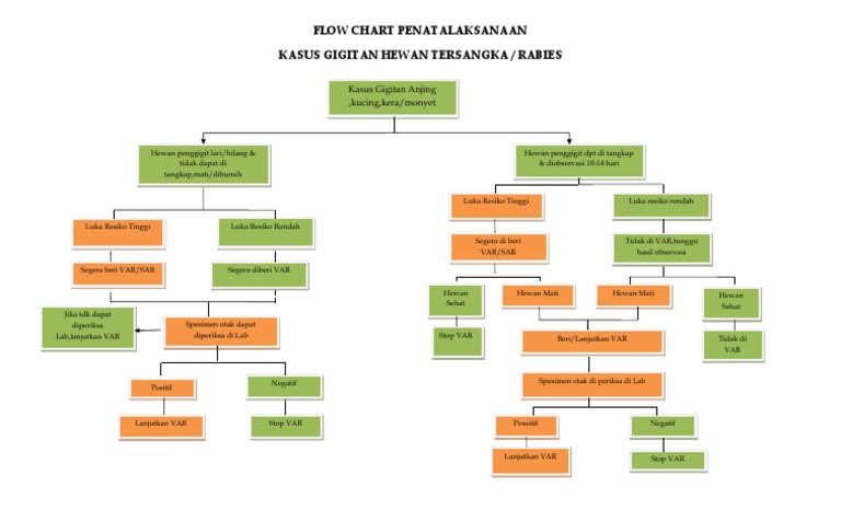 Alur Tatalaksana Rabies Gigitan Hewan | PDF