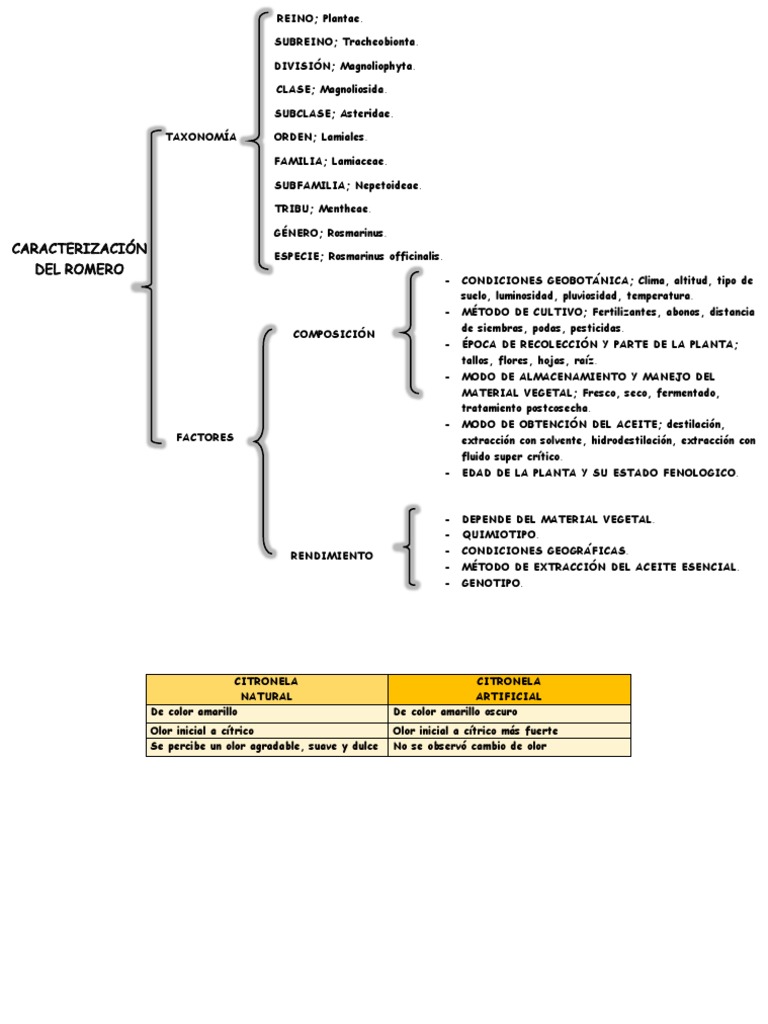 Cultivo y Extracción de Rosmarinus | PDF