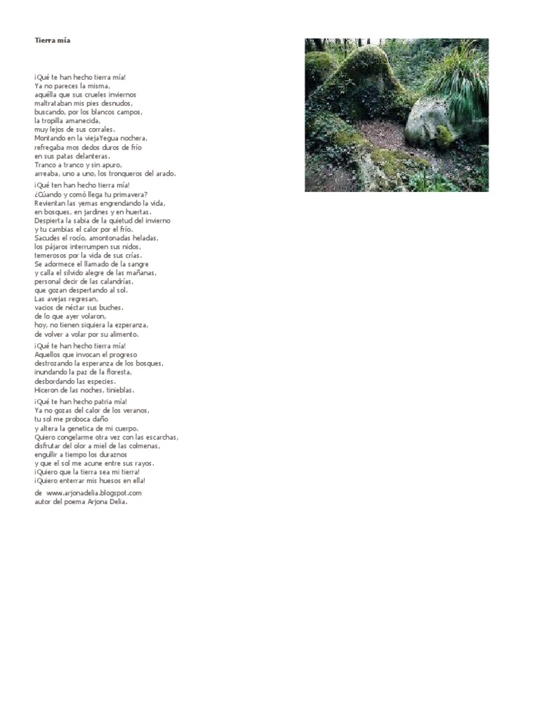Poema A La Patria | PDF