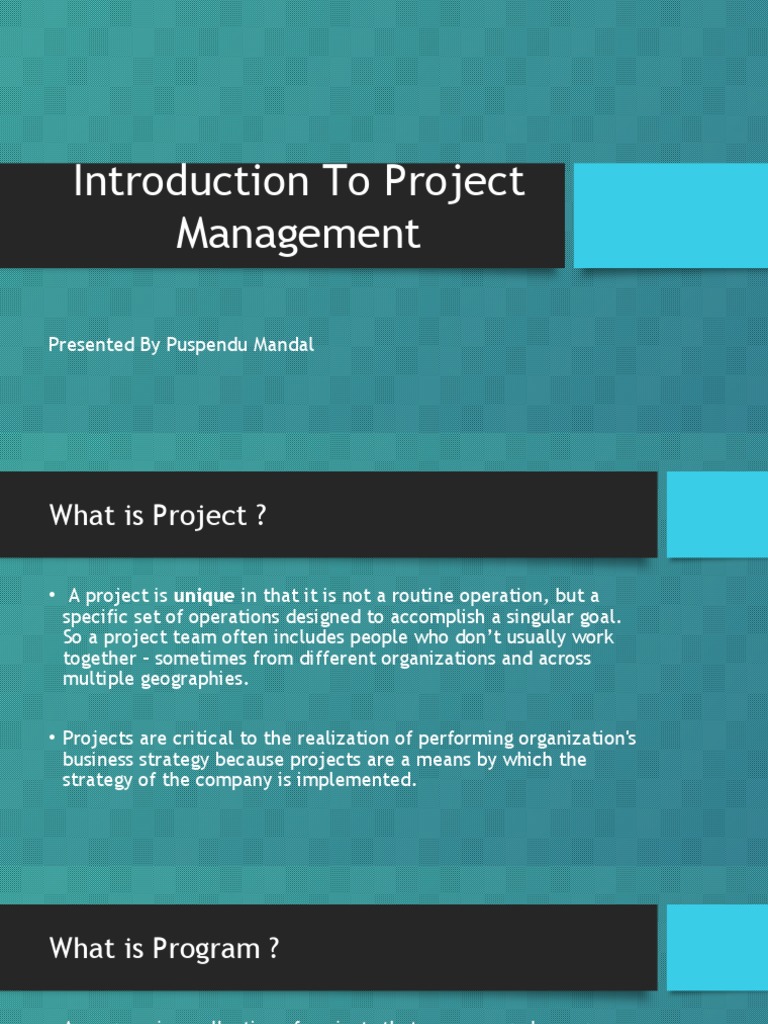 Project Management Essentials Explained | PDF | Project Management | Goal
