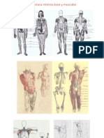 Musculatura y Movimiento 