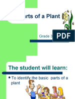 Parts of A Plant: Grade 3