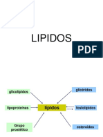 LIPIDOS_29048