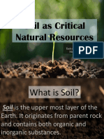 Soil As Critical Natural Resources: Reporters: Emlene Mae D. Dela Cruz Ma. Tiffany D. Ayad