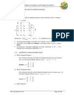 Informe de Papaya