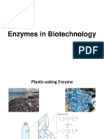 Enzymes in Biotechnology