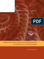 Derechos Fundamentales 40 PDF
