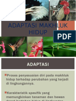 Adaptasi