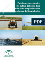 estudio_arroz_baja.pdf