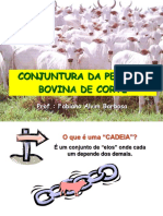 Conjuntura Da Pecuária Bovina de Corte: Prof.: Fabiano Alvim Barbosa