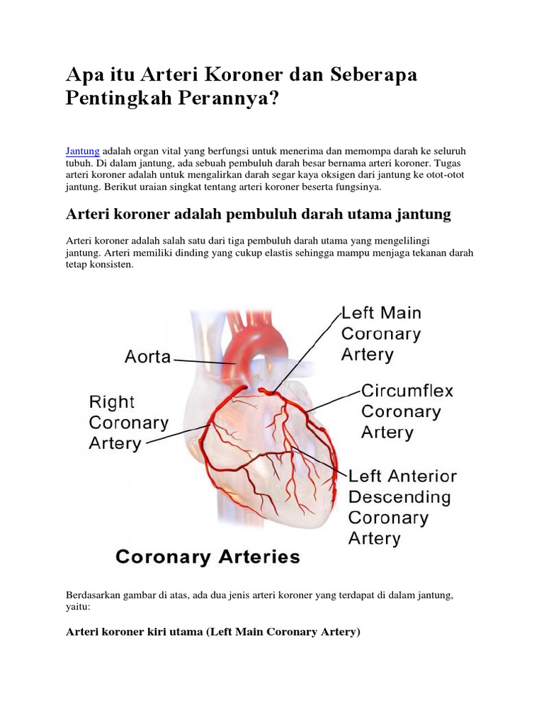 Apa Itu Arteri