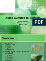 Algae Cultures to Biofuels (1)
