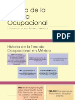 Historia de La Terapia Ocupacional (Materia)